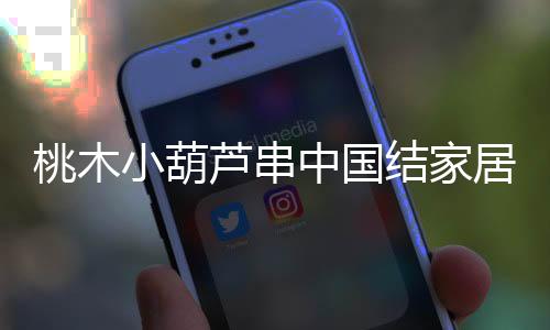 桃木小葫蘆串中國(guó)結(jié)家居客廳汽車掛件平安納福八寶葫蘆隨身攜帶