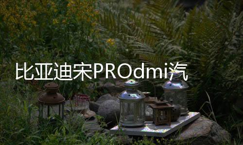 比亞迪宋PROdmi汽車(chē)專用隔板裝飾隔物板收納配件儲(chǔ)物尾箱