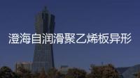 澄海自潤滑聚乙烯板異形件加工(
