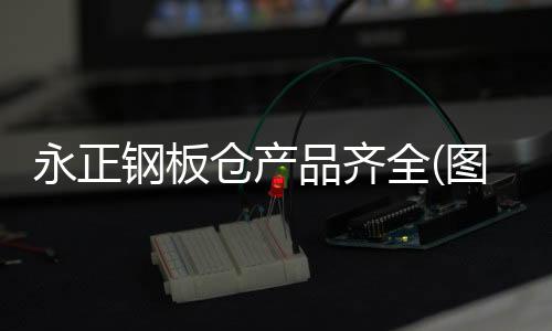 睢縣學(xué)校電動(dòng)伸縮大門(mén)