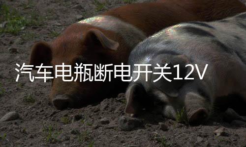 汽車電瓶斷電開關(guān)12V防虧電漏電保護(hù)器智能藍(lán)牙遙控純銅實(shí)時(shí)監(jiān)控