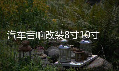 汽車音響改裝8寸10寸12寸車載無源低音炮雙音圈純低音喇叭重低音