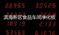 濱海新區(qū)食品車間凈化板生產(chǎn)廠家“本信息長期有效”
