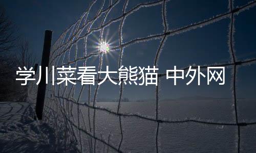 學(xué)川菜看大熊貓 中外網(wǎng)球運(yùn)動(dòng)員愛上成都安逸慢生活