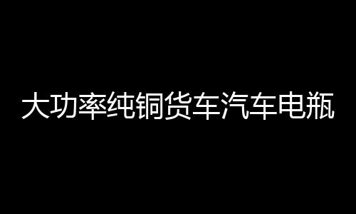 大功率純銅貨車汽車電瓶充電器12V24V伏充滿自動(dòng)停全智能通用型水