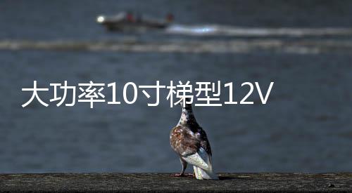 大功率10寸梯型12V24V改裝汽車載有源低音炮220V插卡藍牙音響音箱