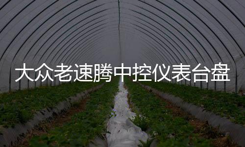 大眾老速騰中控儀表臺盤避光墊專用汽車內飾防曬隔熱遮光墊配件改
