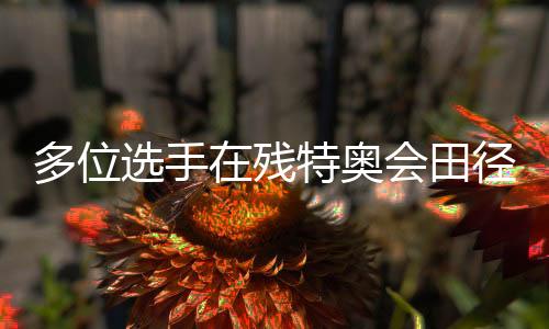 多位選手在殘?zhí)貖W會田徑（馬拉松）項目刷新全國紀錄
