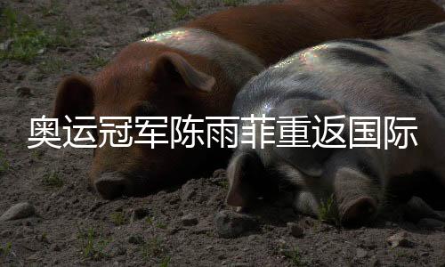 奧運(yùn)冠軍陳雨菲重返國(guó)際賽場(chǎng)：很開(kāi)心能重新為國(guó)而戰(zhàn)
