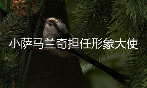 小薩馬蘭奇擔(dān)任形象大使 2025上海中心高塔競(jìng)速挑戰(zhàn)賽將于11月開(kāi)賽