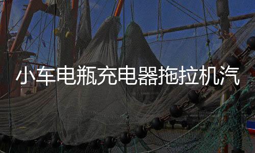 小車電瓶充電器拖拉機(jī)汽車AGM蓄電池全自動(dòng)保護(hù)12V24V快速充電機(jī)
