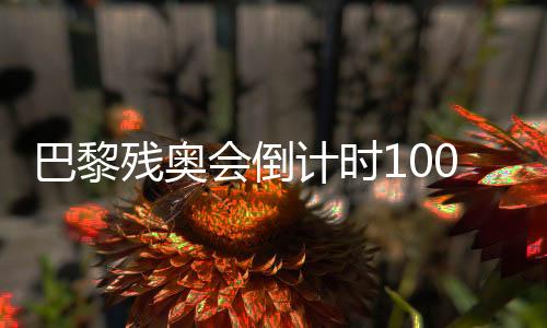 巴黎殘奧會倒計(jì)時100天 我國已獲19個大項(xiàng)參賽資格