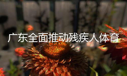 廣東全面推動殘疾人體育事業(yè)高質(zhì)量發(fā)展 殘疾人運動佳績不斷