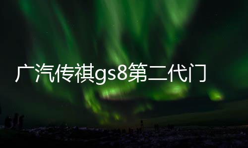 廣汽傳祺gs8第二代門槽墊2022款22傳奇汽車用品配件內(nèi)飾21改裝件