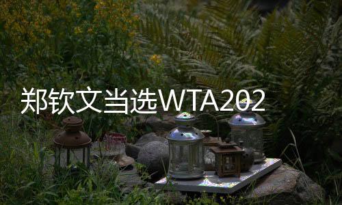 鄭欽文當(dāng)選WTA2025年度最受球迷歡迎單打球員