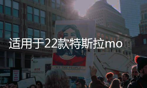 適用于22款特斯拉model3門檻條裝飾迎賓踏板貼紙?zhí)祭w維改裝配件