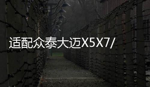 適配眾泰大邁X5X7/T500T600Z700SR7原裝60AH汽車(chē)電瓶瓦爾塔蓄電池