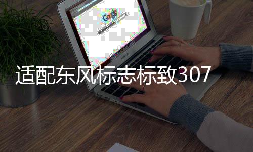 適配東風(fēng)標(biāo)志標(biāo)致307凱旋世嘉正極線 汽車電瓶蓄電池正級電纜配件