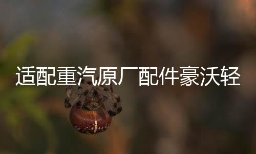 適配重汽原廠配件豪沃輕卡剎車燈開關(guān)統(tǒng)帥悍將雙觸點制動燈感應(yīng)器