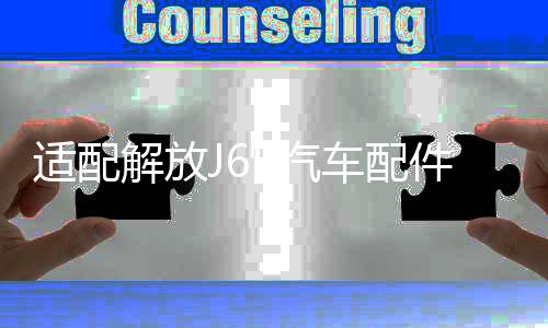 適配解放J6P汽車(chē)配件j6駕駛室電動(dòng)油泵電機(jī)舉升泵底座油封修理包