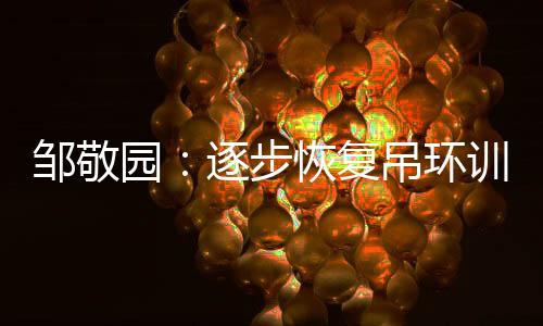 鄒敬園：逐步恢復(fù)吊環(huán)訓(xùn)練，期待世錦賽有好的表現(xiàn)