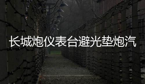長城炮儀表臺避光墊炮汽車內(nèi)飾裝飾用品配件中控臺改裝防滑防曬墊