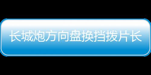 長城炮方向盤換擋撥片長城炮皮卡內飾裝飾金屬改裝配件多色可選