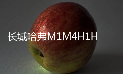 長城哈弗M1M4H1H2H5H6H7汽車同軸喇叭音響全頻6.5寸改裝重低音炮