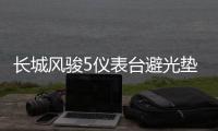 長城風(fēng)駿5儀表臺避光墊汽車內(nèi)飾裝飾用品配件中控臺改裝防曬墊