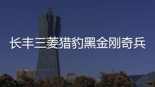 長(zhǎng)豐三菱獵豹黑金剛奇兵飛騰6481內(nèi)飾改裝飾汽車配件儀表臺(tái)避光墊