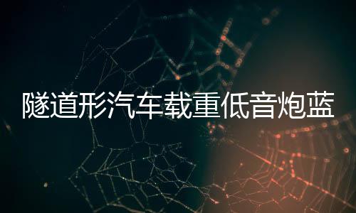 隧道形汽車(chē)載重低音炮藍(lán)牙音響摩托貨車(chē)12V24V家用220V改裝小音箱