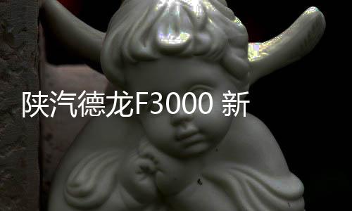 陜汽德龍F(tuán)3000 新M3000 X3000 L3000大貨車專用汽車吹塵槍吹氣槍