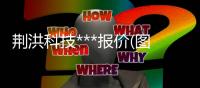 荊洪科技***報價(圖)
