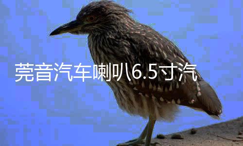 莞音汽車?yán)?.5寸汽車同軸喇叭發(fā)燒車載i汽車音響喇叭改裝升級