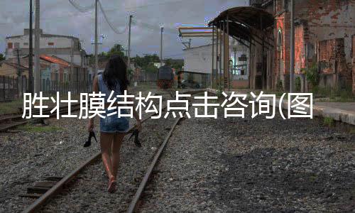 史托斯軟鏡維修換鋼絲