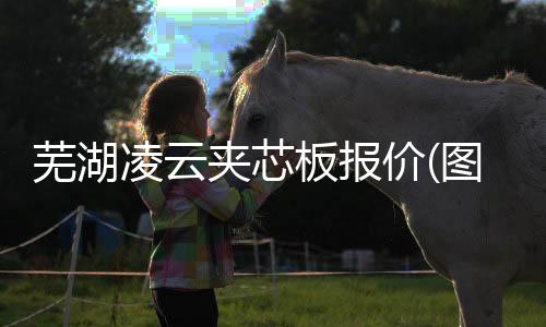 偉晴大健康呼吸機(jī)找哪家