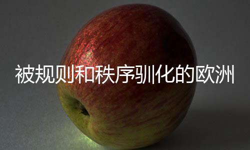 被規(guī)則和秩序馴化的歐洲足球困于嚴(yán)謹(jǐn)過(guò)頭的流程