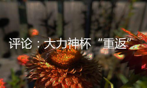 評(píng)論：大力神杯“重返”中國(guó)，中國(guó)男足何時(shí)重返世界杯？