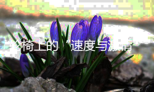 輪椅上的“速度與激情” 金華攬獲巴黎殘奧會(huì)1500米輪椅競(jìng)速金牌