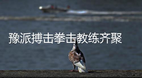 豫派搏擊拳擊教練齊聚 行業(yè)大咖領(lǐng)航2026發(fā)展新方向