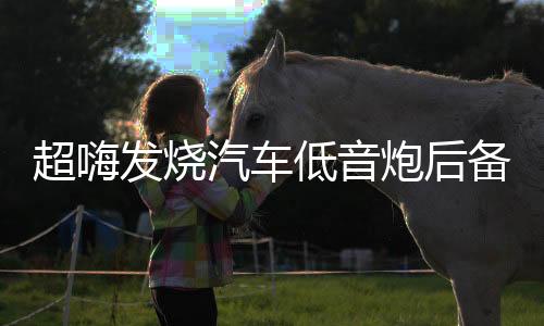 超嗨發(fā)燒汽車低音炮后備箱音響 12寸有源震撼重低音車載12v大功率