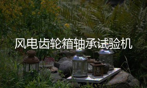 風(fēng)電齒輪箱軸承試驗機