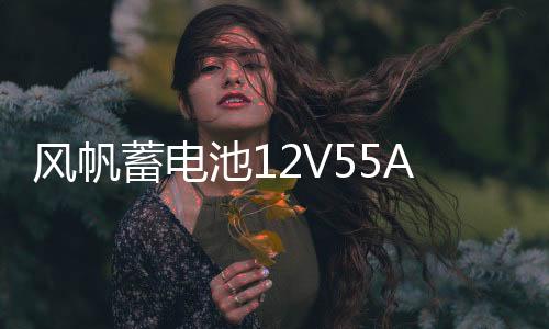 風(fēng)帆蓄電池12V55AH福特55-27嘉年華翼博馬自達2/3長城C30汽車電瓶