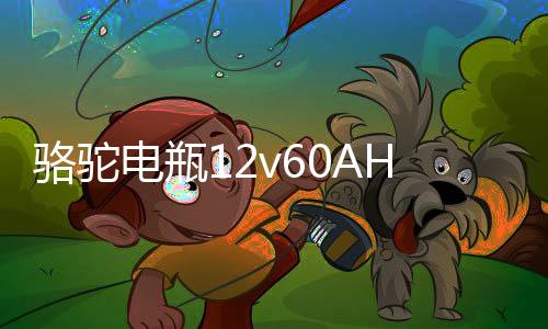 駱駝電瓶12v60AH適配伊蘭特吉利遠景55D23東風風光580汽車蓄電池