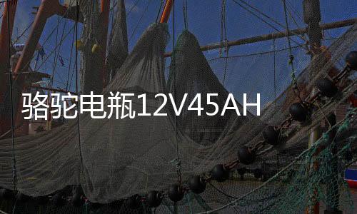 駱駝電瓶12V45AH適配長安面包車五菱宏光S軒逸思域十代汽車蓄電池