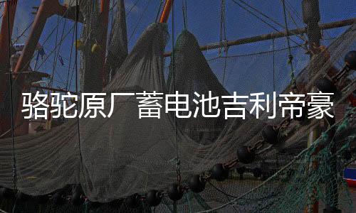 駱駝原廠蓄電池吉利帝豪ec718遠(yuǎn)景/現(xiàn)代朗動悅動原裝60ah汽車電瓶