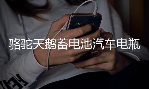 駱駝天鵝蓄電池汽車電瓶12V60AH55D23L卡羅拉花冠帝豪比亞迪F3