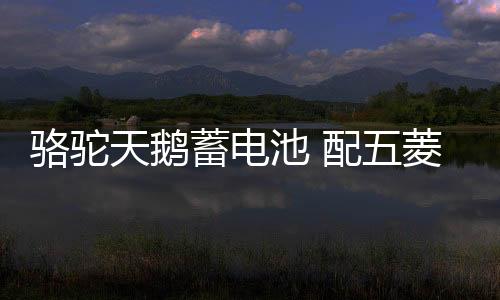 駱駝天鵝蓄電池 配五菱榮光之光寶駿310北汽車幻速S3汽車電瓶 48A