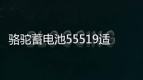 駱駝蓄電池55519適配?？怂箓黛髻悮W名爵汽車電瓶55ah 以舊換新