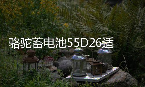 駱駝蓄電池55D26適配馬自達(dá)5索納塔凱美瑞60ah汽車電瓶 以舊換新